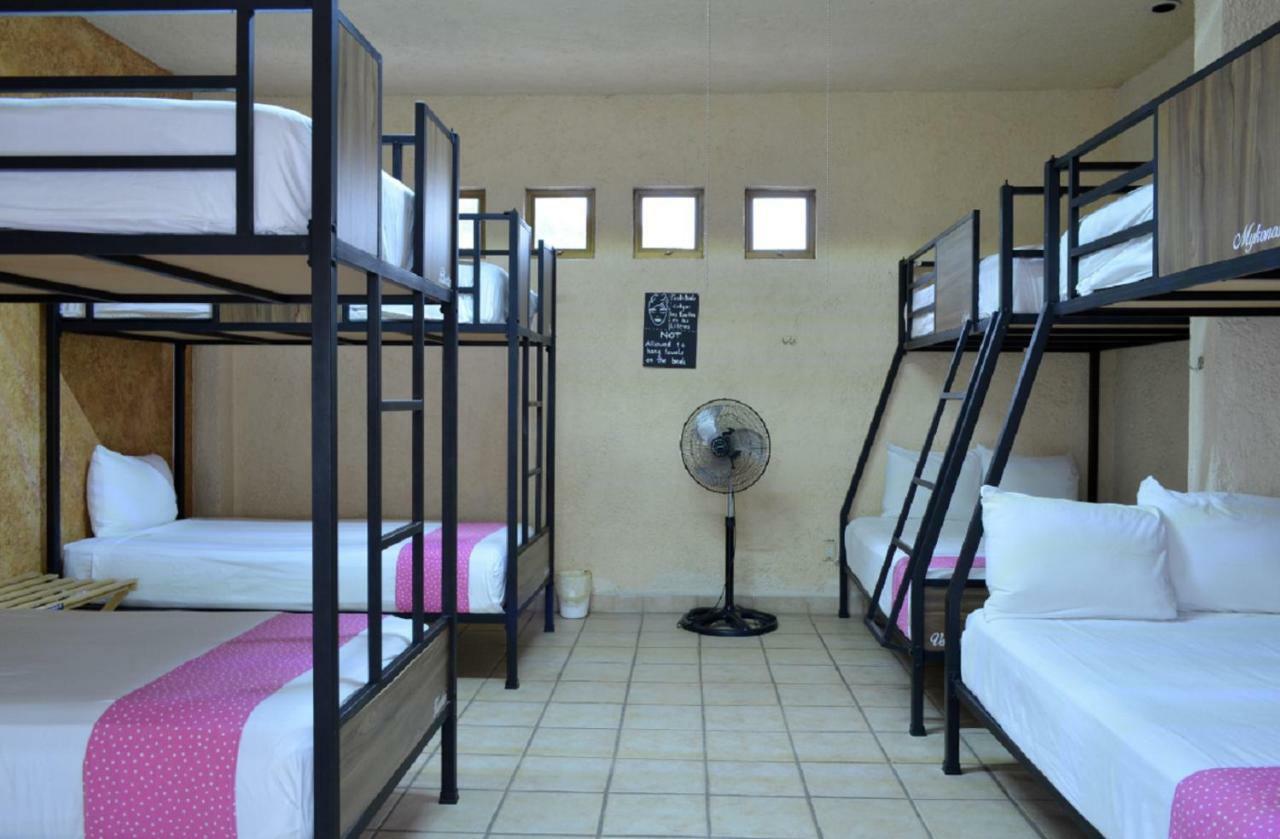Hostalife กัวดาลาฮารา ภายนอก รูปภาพ